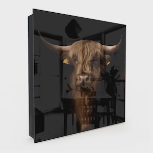 Puede incluir: Un cuadro cuadrado con una superficie de cristal negro de alto brillo que muestra la imagen impresa de una vaca de las Tierras Altas. El animal tiene un pelaje largo y castaño, cuernos curvos prominentes y etiquetas amarillas.
