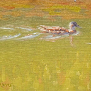 Duck - Paddle - Original Oil Painting - Plein Air - Swim - Wildlife - Birds - Lake - Pond - Back Bay - Newport Beach - Water - Mallard