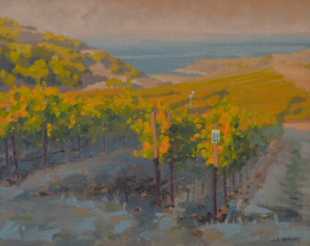 Rusack Vineyard - Catalina - Island - California - Plein Air - Oil Painting - Wine - El Rancho Escondido - Santa Catalina - Vines - Grapes
