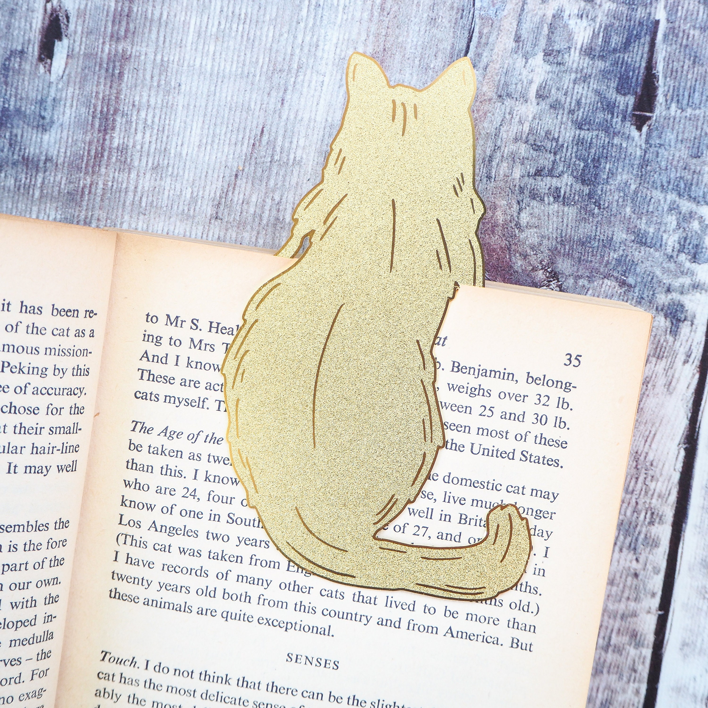 Marcapáginas De Gato, Marcapáginas Magnético, Regalo Para Gatos, Regalo
