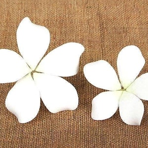 White HAWAIIAN BLOOME PLUMERIA flower cake, cupcakes, cake decorations, gum paste