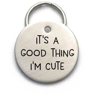 Custom Pet Tag - It&#39;s a Good Thing I&#39;m Cute - Stainless Steel Engraved
