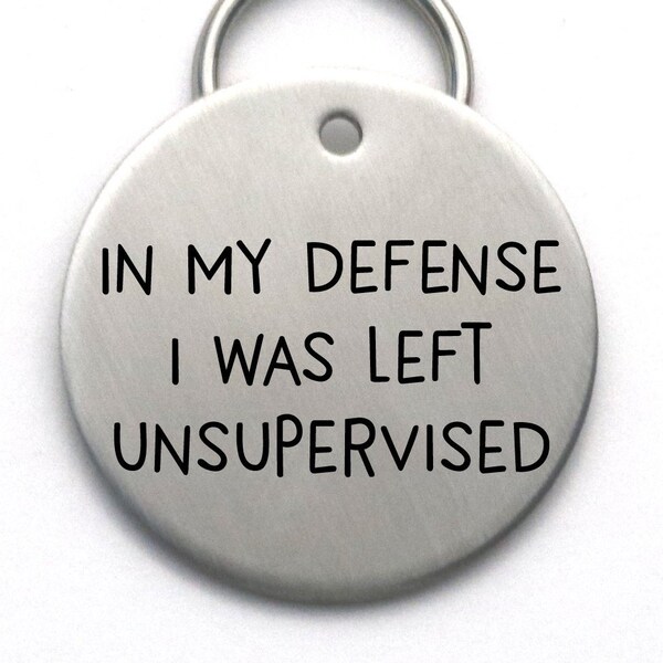 Funny Stainless Steel Dog Tag, Custom Metal Pet ID, In My Defense I Was Left Unsupervised