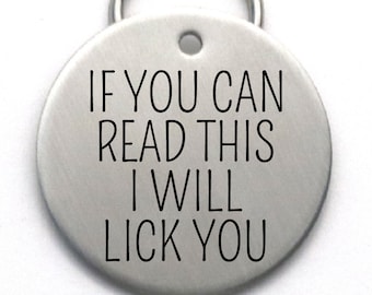 Funny Stainless Steel Pet Tag, If You Can Read This I Will Lick You, Large Dog ID