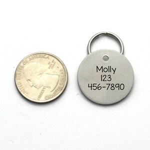 Op de afbeelding: Een zilveren hondenpenning met de naam "Molly", het nummer "123" en het telefoonnummer "456-7890" erop gegraveerd.