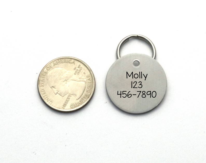 Op de afbeelding: Een zilveren hondenpenning met de naam "Molly", het nummer "123" en het telefoonnummer "456-7890" erop gegraveerd.