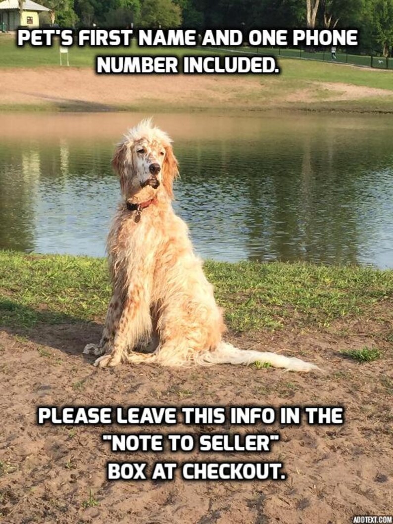 May include: A white and brown dog sitting on the ground near a pond. The text "PET'S FIRST NAME AND ONE PHONE NUMBER INCLUDED. PLEASE LEAVE THIS INFO IN THE "NOTE TO SELLER" BOX AT CHECKOUT." is displayed on the image.