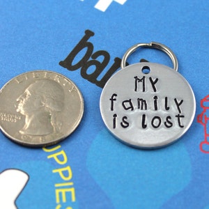May include: Silver dog tag with the text "My family is lost" engraved on it. The tag is attached to a silver ring.