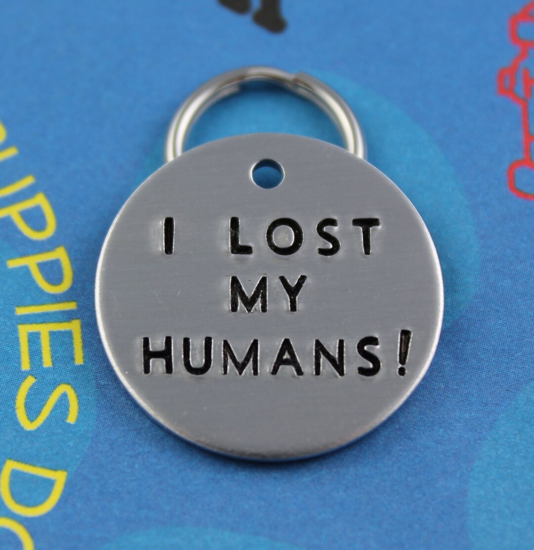 Funny Dog Tag Unique Pet ID Tag Handstamped Cool Dog Tag I Lost My
