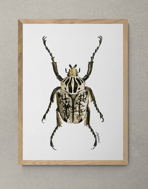Watercolour Goliath Beetle Print A3 | Etsy