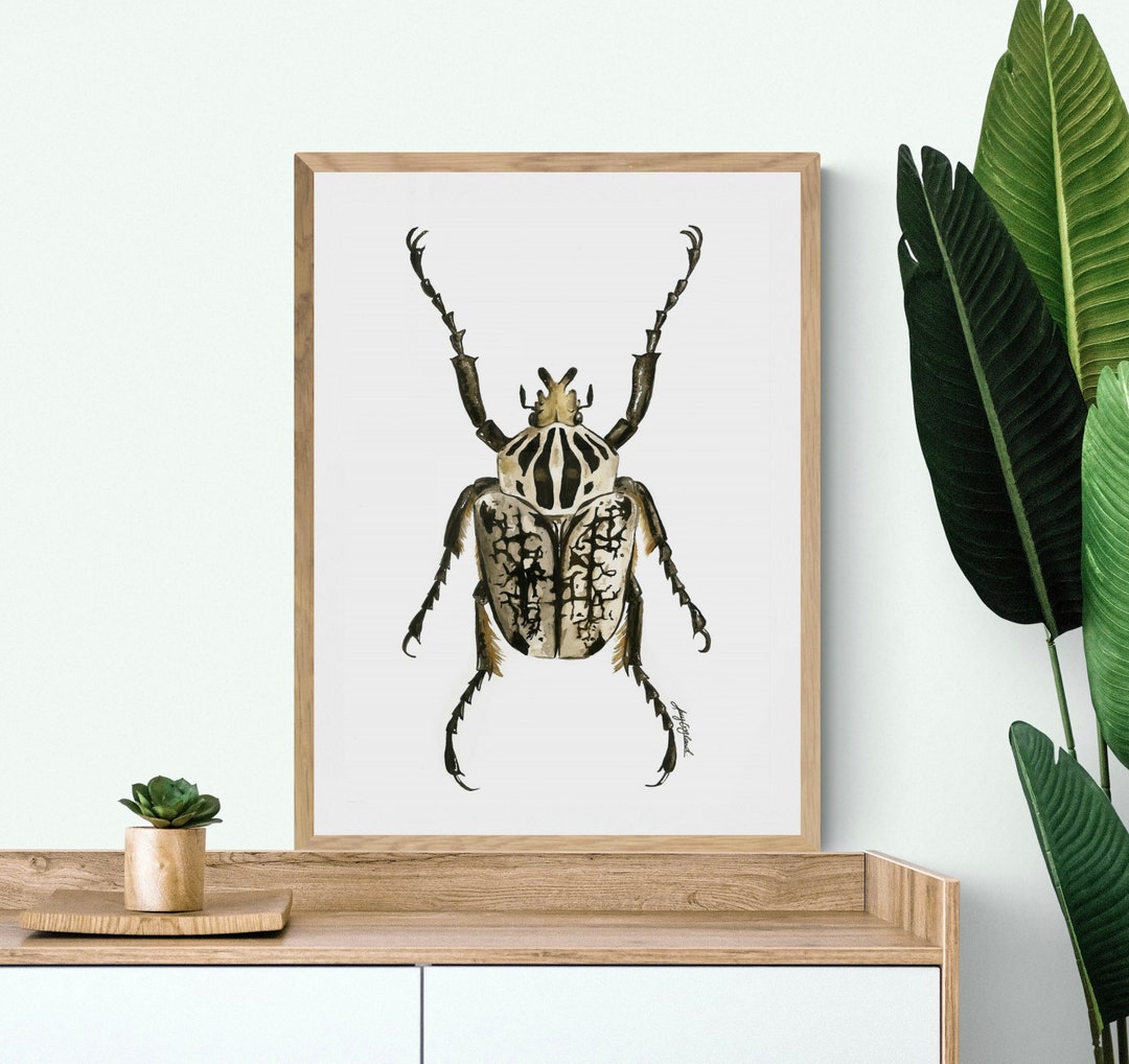 Watercolour Goliath Beetle Print A3 - Etsy