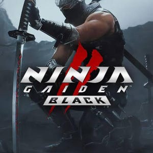 May include: A digital illustration of a ninja in dark armor kneeling while holding a long katana sword. The text NINJA GAIDEN BLACK is displayed in the center in bold white and red lettering against a dark, misty, and rocky landscape background.