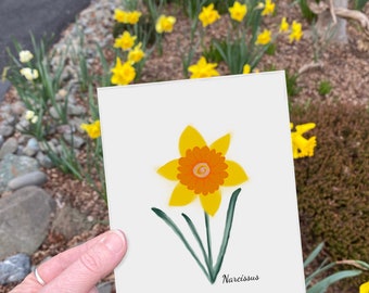 Daffodil Flower (Narcissus) Botanical Note Card, Blank Inside
