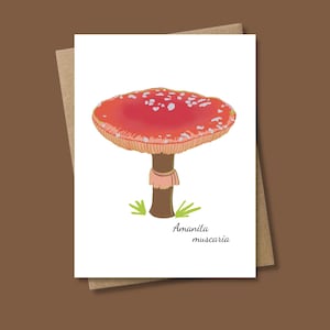 Amanita Mushroom Note Card, Cute Botanical Wild Mushroom Plant Stationery, Blank Inside