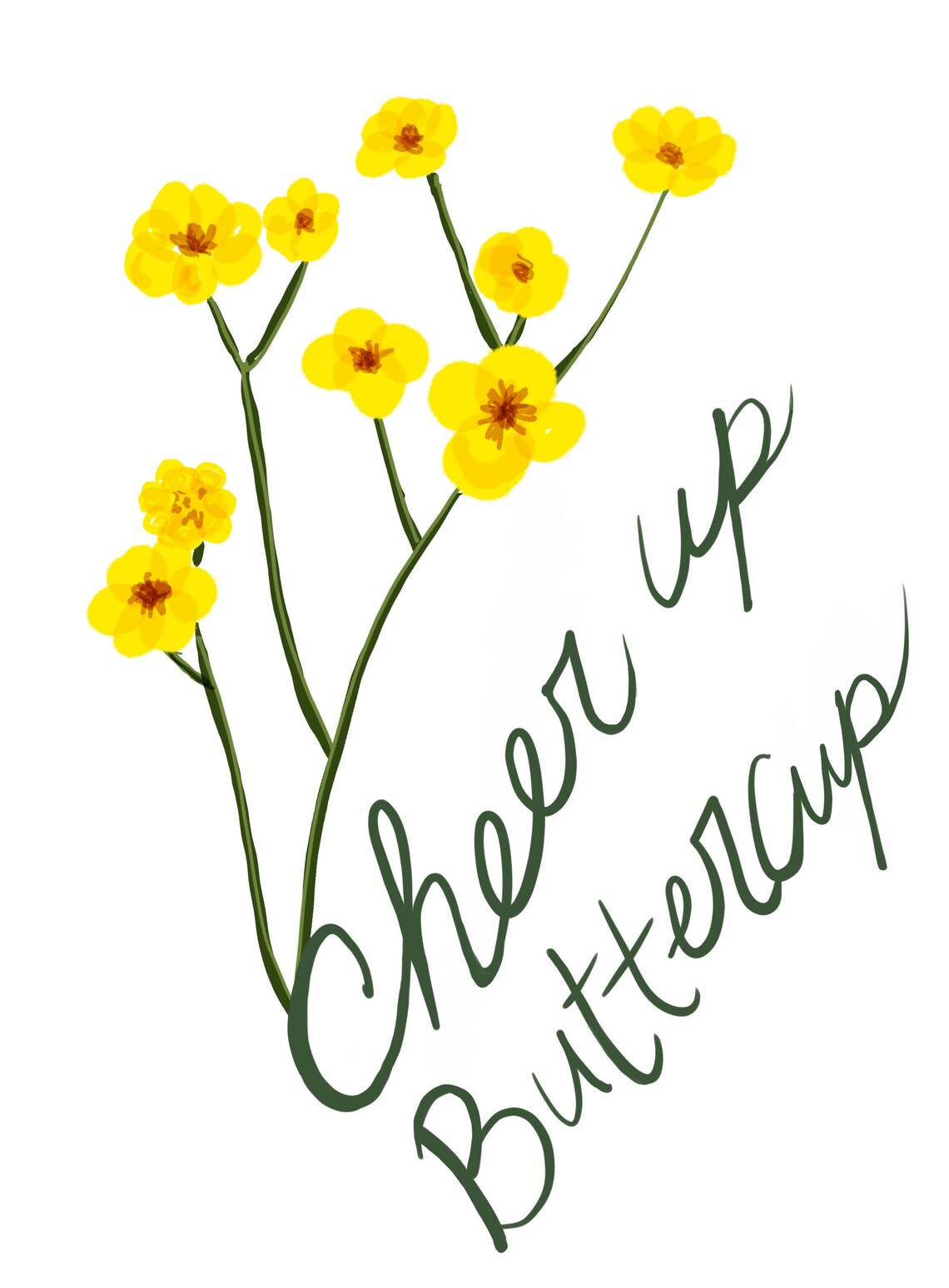 Cheer up Buttercup Pun Sympathy Card, Illustrated Flower Greeting Card