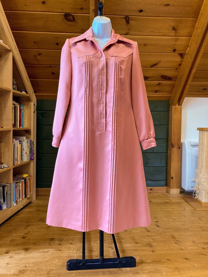 robe vintage Robe Sue Brett des années 1970, robe vintage de style occidental, robe vintage des années 70, robe occidentale, robe rose poussiéreuse image 1