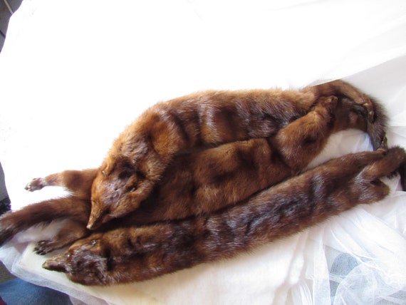 Vintage Mink Stole, Neck Drape, Fur Wrap, Shawl, … - image 8