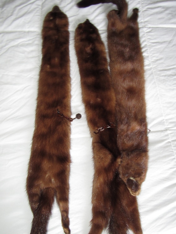 Vintage Mink Stole, Neck Drape, Fur Wrap, Shawl, … - image 2