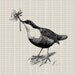 Bird Flower Nature Printable Image Instant Download Collage Sheet Fabric Transfer Clip Art Digital Stamp Tags Pillows Totes Towels Burlap