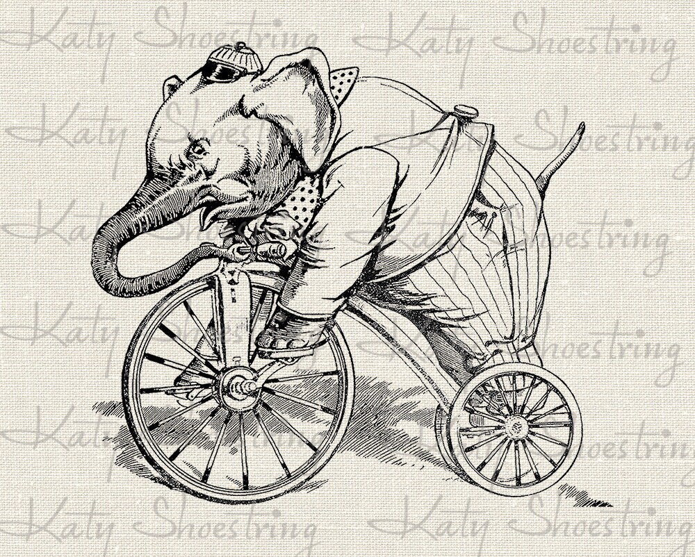 Vintage Elephant Riding Bike Tricycle Illustration Digital Etsy