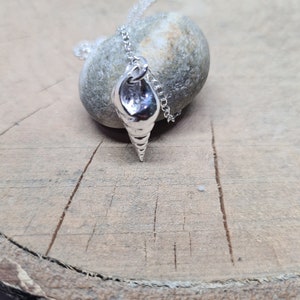 May include: A silver seashell pendant necklace on a silver chain. The pendant is a detailed replica of a seashell with a spiral design. The necklace is displayed on a wooden surface with a small rock.