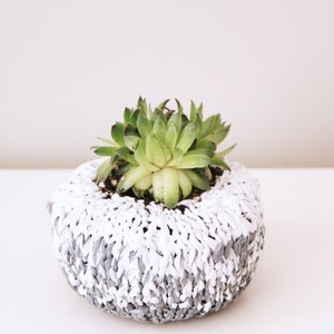 May include: A small succulent plant in a white and gray crocheted pot. The pot is round and has a textured surface.