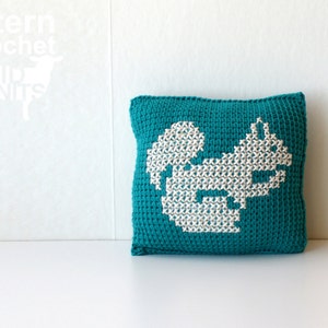 DIY Crochet PATTERN Learn To Tunisian Crochet Woodland Animals Cross-stitch Throw Pillows 8 Square Squirrel, Fox, Rabbit 2016008 image 3