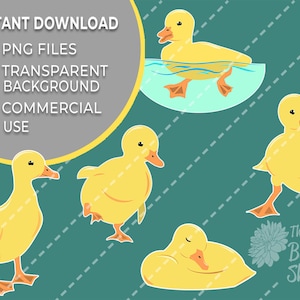 Easter Clipart, Duck clipart, mignons canetons bébé instantanément télécharger des fichiers clip art