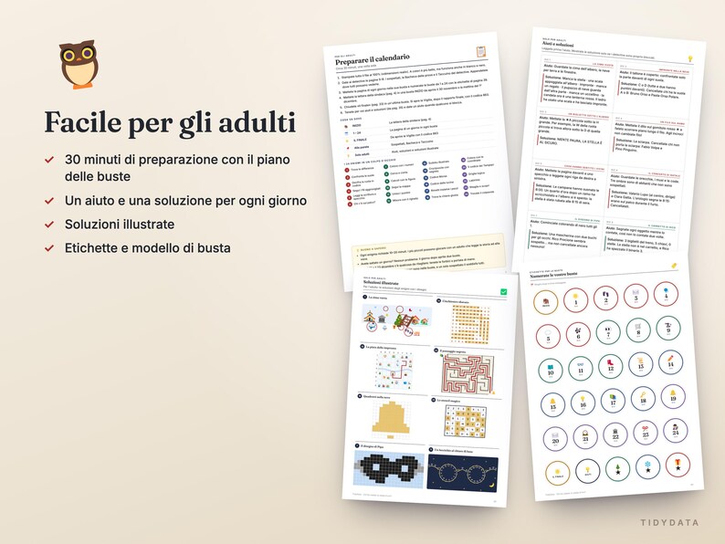 May include: A set of printed activity sheets featuring an owl icon, the text Facile per gli adulti, and instructions for an advent calendar. The pages include numbered circles, maze puzzles, grid patterns, and written guides for daily preparation and assembly.