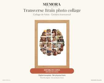 Collage Cerebro transversal: plantilla de 16 fotos editable en Canva