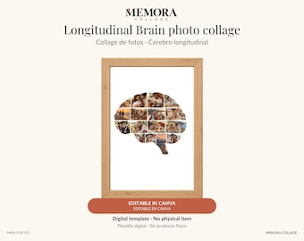 Collage Cerebro longitudinal: plantilla de 16 fotos editable en Canva