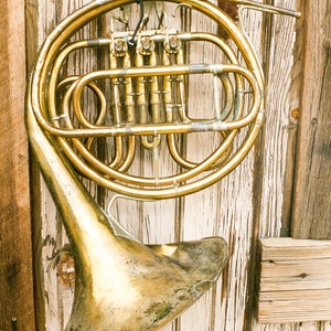 May include: A gold-colored French horn hangs on a weathered wooden wall. The horn has a bell-shaped mouthpiece and a long, curved tube.