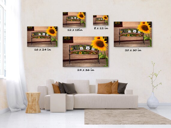 Kansas Sunflowers, Route 66, Kansas Rt 66, Fine Art Photo