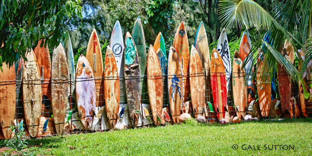 Surfboard Fence, Fine Art Photo, Maui, Hawaii, Surfing Art, Art