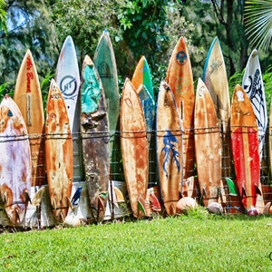Surfboard Fence, Fine Art Photo, Maui, Hawaii, Surfing Art, Art