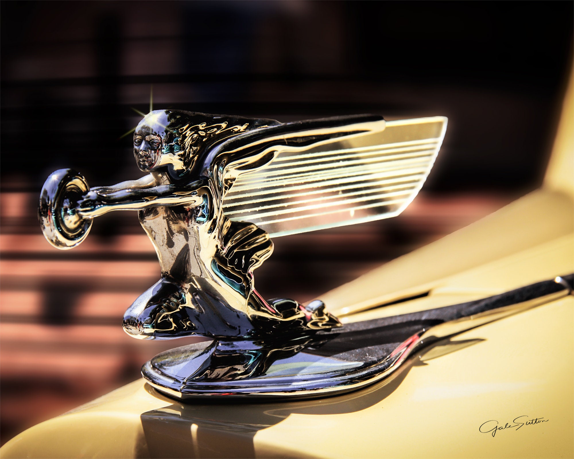 Old Packard, Fine Art Photo, Hood Ornament, Packard Hood Ornament