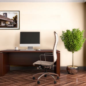 May include: A home office with a brown wooden desk, a white office chair, a computer monitor, a potted plant, and a framed picture of a vintage diner with a car parked in front.