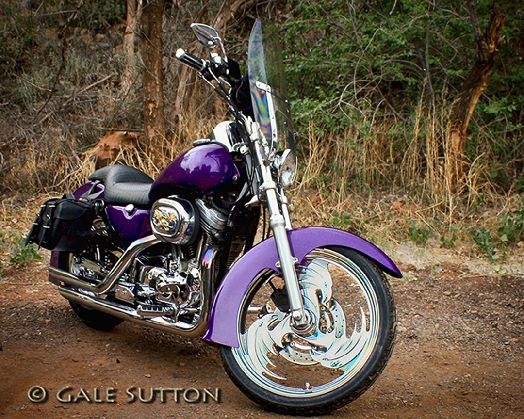 トップス vintage USA Harley Davidson purple flame Harley Davidson Motorcycle, Fine Art Photo,purple, Brown