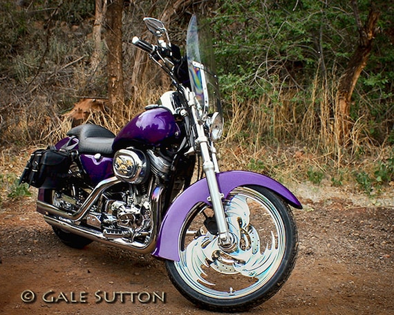 Purple motorcycle deals