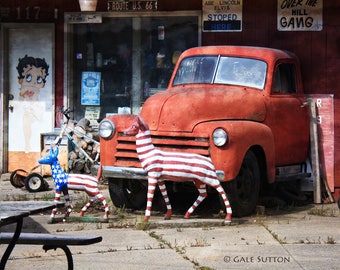 Route 66, Route 66 Photography, Illinois, Fine Art Photo, Pick-Up Truck, Deer, Red White & Blue, Red, Kitsch, Retro, Gift for Men, Wall Art