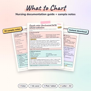 Guía de documentación de enfermería, qué registrar, ejemplos de notas de enfermería, regalo para enfermeras recién graduadas, estudiante de enfermería, hoja de referencia rápida para el registro de datos en PDF.