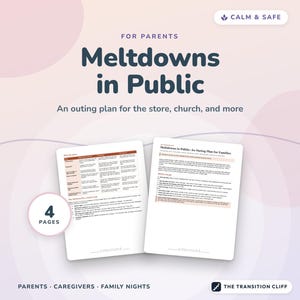 Meltdowns in Public Outing Plan for Families Store Church