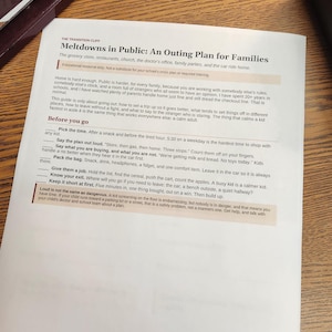 Meltdowns in Public Outing Plan for Families Store Church
