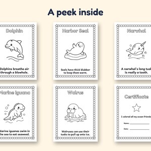 May include: A set of six black and white coloring pages titled A peek inside, featuring illustrations of a dolphin, harbor seal, narwhal, marine iguana, and walrus with educational text, plus a certificate page for completion.