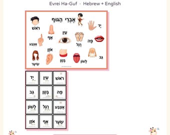 Hebrew Body Parts Word and Picture Cards, Evrei HaGuf Poster and Flashcards, Hebrew Vocabulary with Nikud, Hebrew English PDF