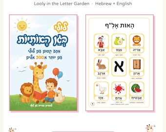 Hebrew Alphabet Picture Cards Printable, Alef Bet Flashcards with Final Letters, Hebrew Phonics Book, Hebrew English Transliteration PDF