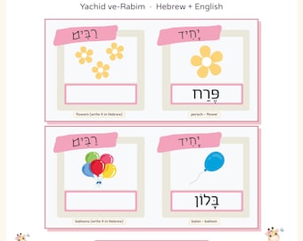 Hebrew Singular and Plural Picture Cards Printable, Hebrew Grammar Nouns Task Cards with Nikud, Hebrew Plurals Practice, Hebrew English PDF
