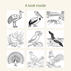 May include: A grid of nine black and white line art illustrations of birds with the text A look inside at the top. The images depict a crane, pelican, ducks in a pond, a bird in grass, a puffin, a flying albatross, a peacock, a pigeon, and a rooster.