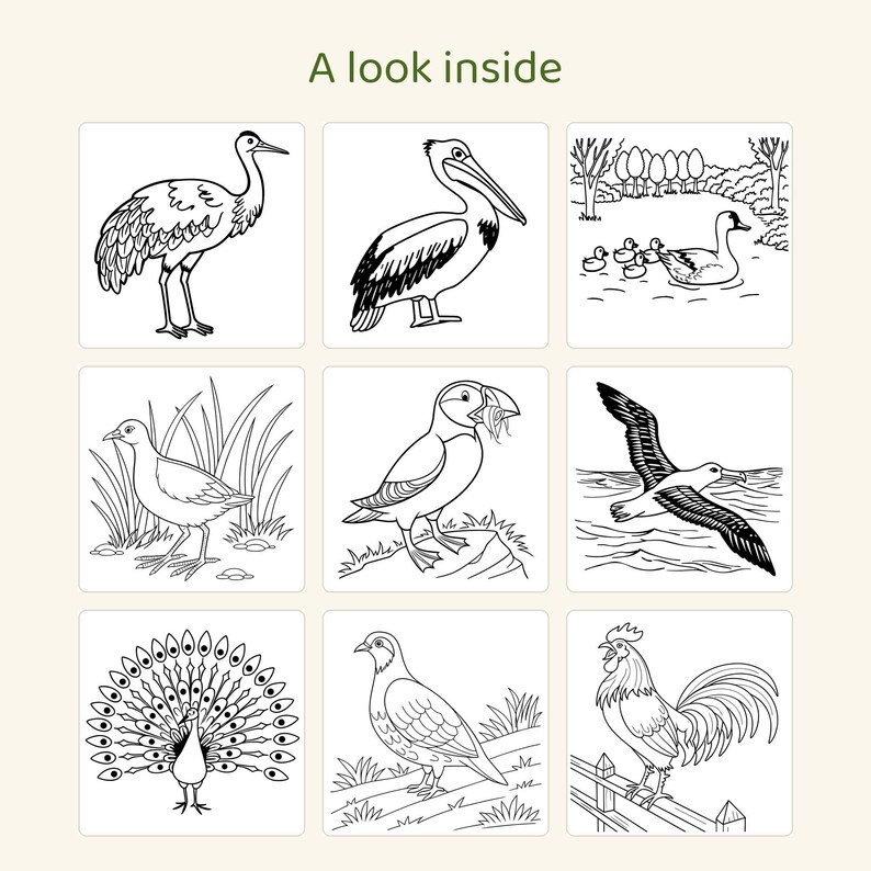 May include: A grid of nine black and white line art illustrations of birds with the text A look inside at the top. The images depict a crane, pelican, ducks in a pond, a bird in grass, a puffin, a flying albatross, a peacock, a pigeon, and a rooster.