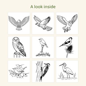 May include: A grid of nine black and white line art illustrations of various birds, including an eagle, owls, a woodpecker, and a heron, with the text A look inside at the top. Each square features a distinct bird species in a natural setting.